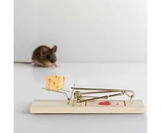 Relaxdays Pelės spąstai, 2x4.5x10 cm, ruda