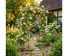 Relaxdays Rose Arch 208x210x50 cm Juodas metalas