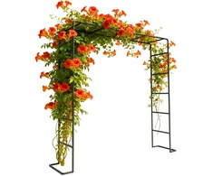 Relaxdays Rose Arch 220x200x38 cm Juodas metalas