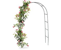 Kodustaar Metalinis rožių arkinis treliažas 240 cm