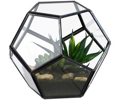 Kodustaar Geometrinis stiklinis terariumas
