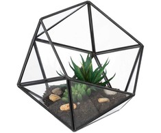Kodustaar Geometrinis stiklinis terariumas