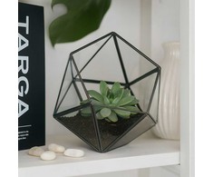 Kodustaar Geometrinis stiklinis terariumas
