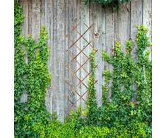 Relaxdays Trellis komplektas 180x60x1 cm Medis