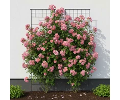 Relaxdays Trellis komplektas 193x58x1 cm Juodas plienas