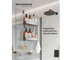 Songmics Dušo lentyna kabinama, 2 lygiai, sidabrinė