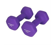 Songmics Hantelių rinkinys, 16x8x7.5 cm, violetinė