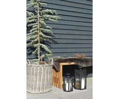 House Suolas, Benidormas, 90x30x49 cm, Tėvmedis