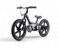 Toycars Elektrinis balansinis dviratis, 24V 250W, 16 colių, Juodas