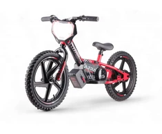 Toycars Elektrinis balansinis dviratis, 24V 250W, 118x53x63 cm, Raudonas