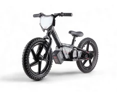 Toycars Elektrinis balansinis dviratis, 24V 250W, 16 colių, Juodas