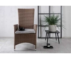 Venture Design Atlenkiamas kėdė, Padova, 69x63x110 cm, Beždžionės spalva