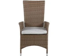 Venture Design Atlenkiamas kėdė, Padova, 69x63x110 cm, Beždžionės spalva