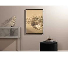 Venture Design Plakatas, Baltos gėlės, 30x40 cm, Beždžionės