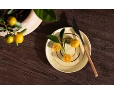 Venture Design Plokštelė, Kutie padažas 2 vnt., 16cm, Beždžionės