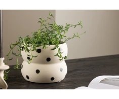 Venture Design Puodas, Dapne, 16x16x13 cm, Balta/Juodos Taškai