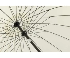 Venture Design Skėtis, Palmetto, 270 cm, Balta