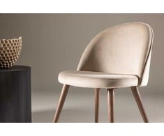 Venture Design Valgomasis kėdė, aksomas, 54x50x77 cm, Beždžionės spalva