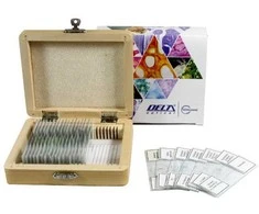 Deltaoptical Bendroji biologija 25 preparatai