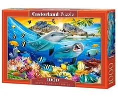 Castorland Dėlionė 1000 vnt. - Delfinai atogrąžose