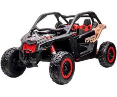 Jokomisiada 2 asmenų Buggy Can-am Maverick visureigis PA0287
