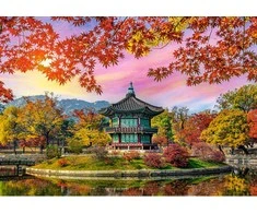 Castorland dėlionė Gyeongbokgung Palace, Seoul, South Korea 500 det