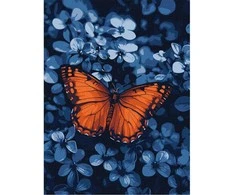 Art Active Ideyka Painting by numbers 30x40cm KHO6733 Light in the darkness butterfly AP0072