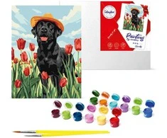 Norimpex Dailininko rinkinys skaičiais "Lovely Labrador" KHO6621 30x40 AP0055
