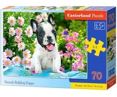 Castorland Dėlionė 70 vnt. - Prancūzų buldogo šuniukas