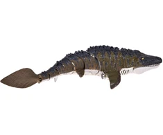 Jokomisiada Remote-Controlled Mosasaurus Aquatic Dinosaur Swims and Sprays Vanduo 40 cm RC0801