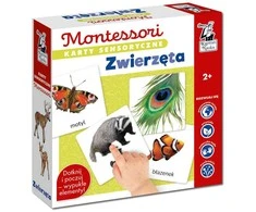 Kapitan Nauka Sensory cards. Animals 2+ Montessori educational ega KS1019