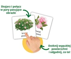 Edgard Nature Sensorinės kortelės. Gamtos 3+ Montessori kortelės su iliustracijomis KS1018