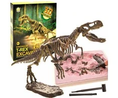 Jokomisiada 3D dinozauro skeleto rinkinys