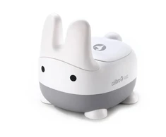 Colibro naktipuodis Nuki, Cloud