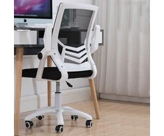 Anji Jiayou furniture co., LTD Ergonominė biuro kėdė, balta/juoda