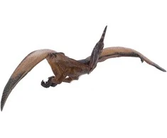 Kolekcionieriaus figūrėlės pteranodonas, papo