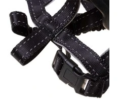 Fiziologinis snukis- 3 dydis