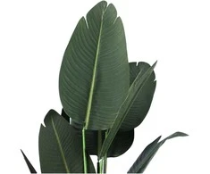 Dirbtinė dekoratyvinė augalas 120 cm - Tipas 2