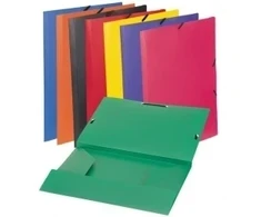Aplankas dokumentams Viquel Chemise A4. su gumelėmis. plastikinis. žalios spalvos