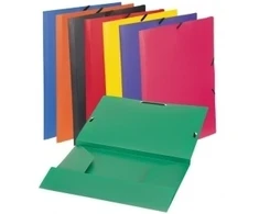 Aplankas dokumentams Viquel Chemise A4. su gumelėmis. plastikinis. žalios spalvos