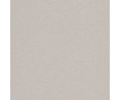 Vokas Curious, DL, 110x220 mm, 120 g, Metallics Lustre, blizgus (20) 0721-408
