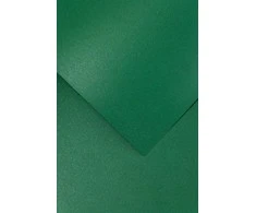 Galeria Papieru Dekoratyvinis kartonas A4, Mika žalios spalvos, 20 vnt.