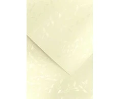 Galeria Papieru Dekoratyvinis kartonas Argo Liana, A4, 230g, 20 lapų, kreminės spalvos
