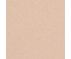 Dekoratyvinis popierius Curious Metallics Nude, A4, 120g, 50 lapų