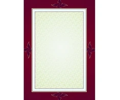 Diplomų ir laiškų popierius Galeria Majestic, 170g, 25 lapai