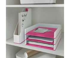 Dokumentų lentynėlė Leitz Wow Dual, A4, plastikinė, baltos/rožinės spalvos