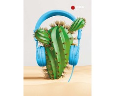 Formulių sąsiuvinis Disco Hip, (9-12 klasės), 50 lapų, langeliais