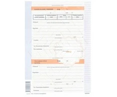 Kasos pajamų orderis, A4, 100 lapų, numeruotas
