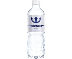 Mineralinis vanduo Neptūnas, gazuotas, 0.5l (D)