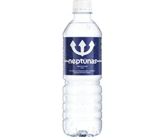 Mineralinis vanduo Neptūnas, negazuotas, 0.5l (D)